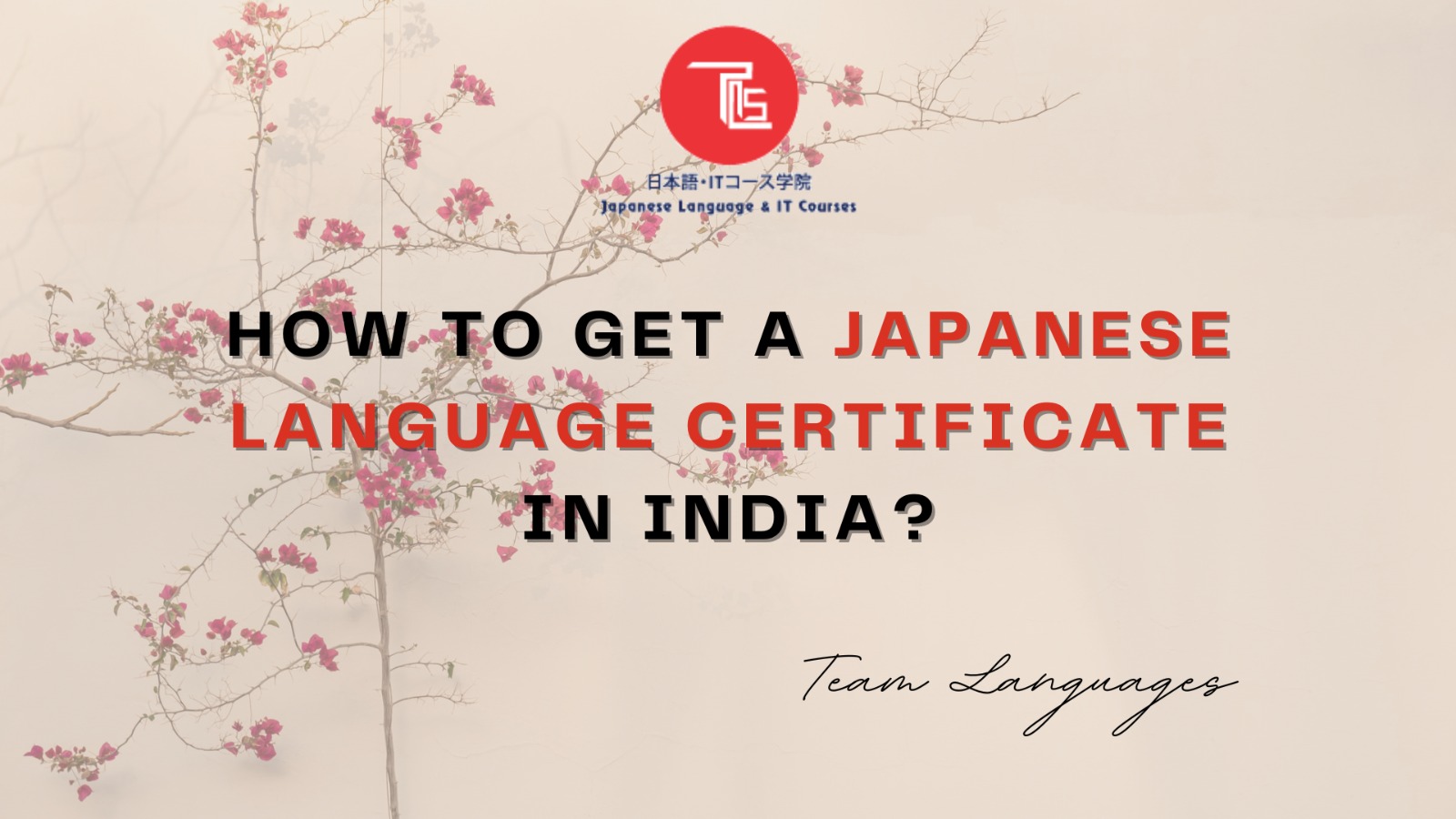 How to get a Japanese Language Certificate in India?