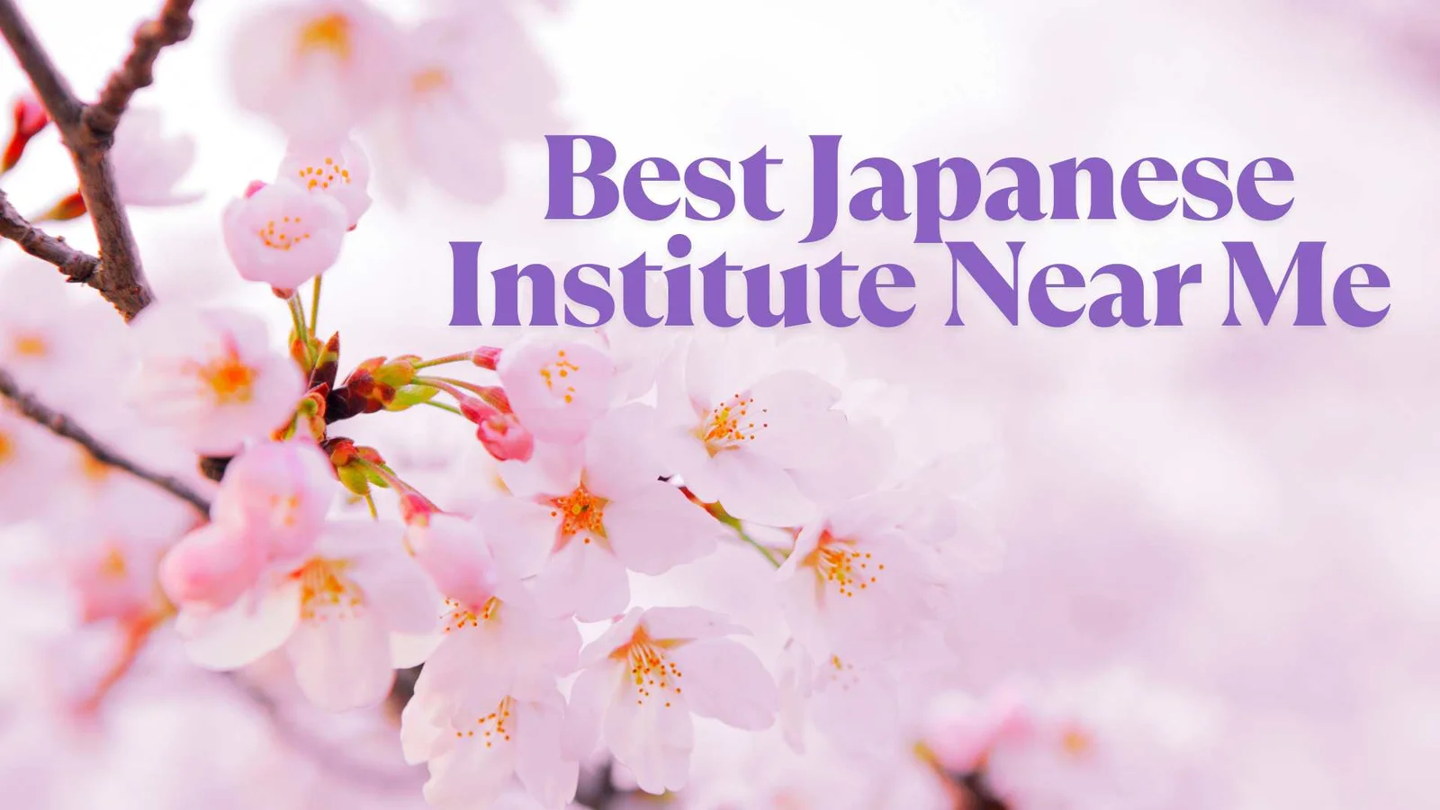 Are You Looking for a Japanese Institute Near Me? Get Online and Offline Batches
