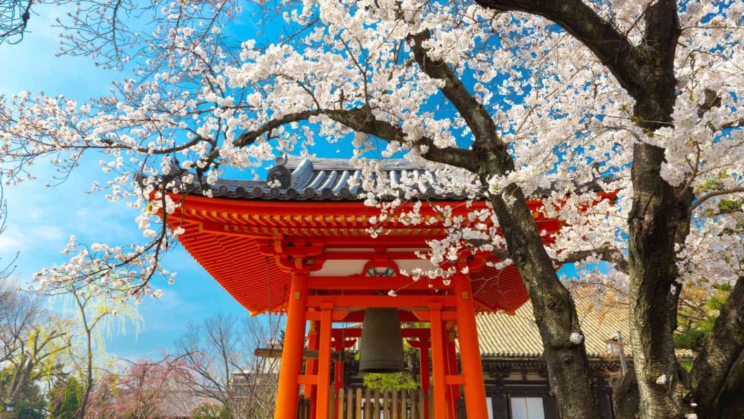 Japanese Language Course in Laxmi Nagar β Learn Japanese with the Best Institute in Delhi